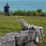 Tour of Mexico with Evgeny Androsov. Visit to Tulum 