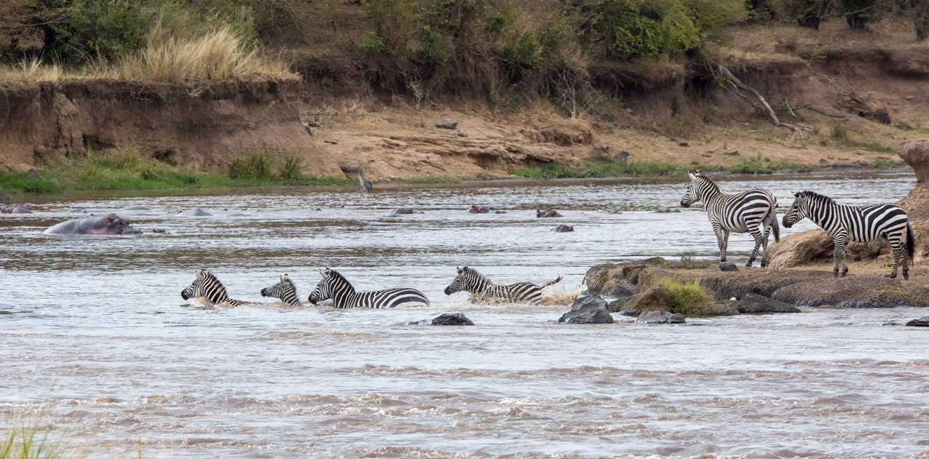 Великая миграция Кения